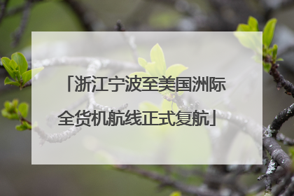 浙江宁波至美国洲际全货机航线正式复航