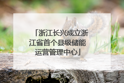浙江长兴成立浙江省首个县级储能运营管理中心