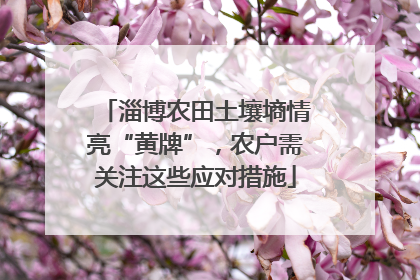 淄博农田土壤墒情亮“黄牌”，农户需关注这些应对措施