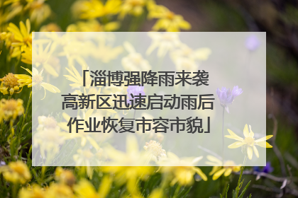 淄博强降雨来袭 高新区迅速启动雨后作业恢复市容市貌