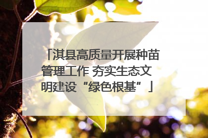 淇县高质量开展种苗管理工作 夯实生态文明建设“绿色根基”