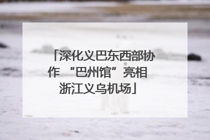 深化义巴东西部协作 “巴州馆”亮相浙江义乌机场