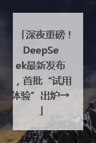 深夜重磅！DeepSeek最新发布，首批“试用体验”出炉→