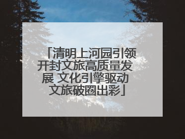 清明上河园引领开封文旅高质量发展 文化引擎驱动 文旅破圈出彩