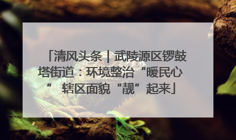 清风头条｜武陵源区锣鼓塔街道：环境整治“暖民心” 辖区面貌“靓”起来