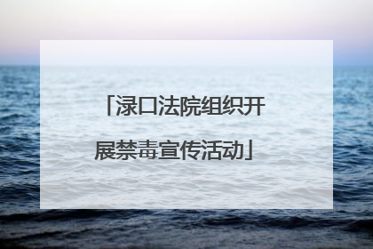 渌口法院组织开展禁毒宣传活动