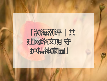 渤海潮评｜共建网络文明 守护精神家园