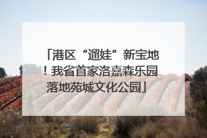 港区“遛娃”新宝地！我省首家洛嘉森乐园落地苑城文化公园