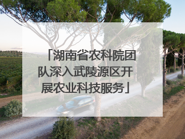 湖南省农科院团队深入武陵源区开展农业科技服务