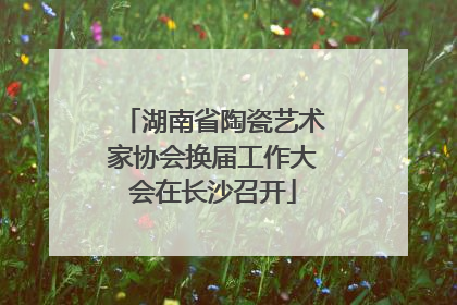 湖南省陶瓷艺术家协会换届工作大会在长沙召开