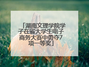 湖南文理学院学子在省大学生电子商务大赛中勇夺7项一等奖