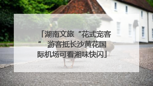 湖南文旅“花式宠客” 游客抵长沙黄花国际机场可看湘味快闪