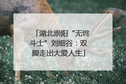 湖北崇阳“无臂斗士”刘细谷：双脚走出大爱人生