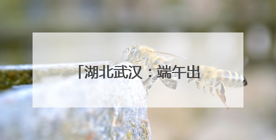 湖北武汉：端午出行粽香浓旅途暖