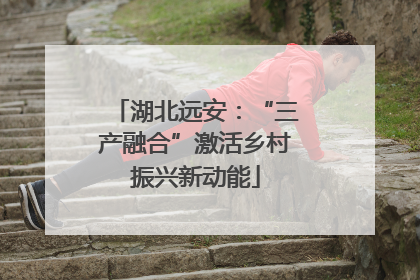 湖北远安：“三产融合”激活乡村振兴新动能