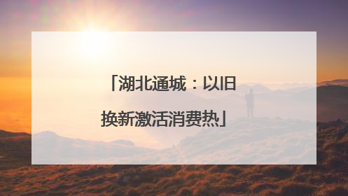 湖北通城：以旧换新激活消费热