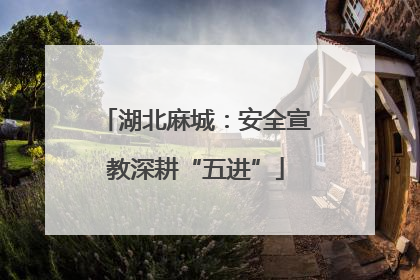 湖北麻城：安全宣教深耕“五进”