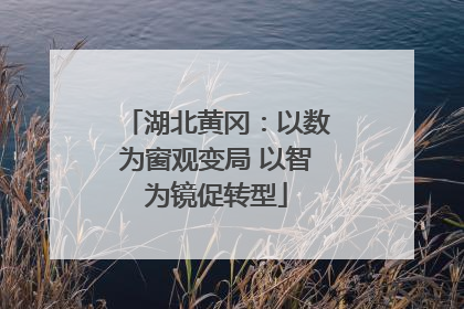 湖北黄冈：以数为窗观变局 以智为镜促转型