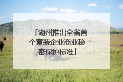 湖州推出全省首个童装企业商业秘密保护标准