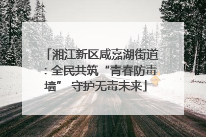 湘江新区咸嘉湖街道：全民共筑“青春防毒墙” 守护无毒未来
