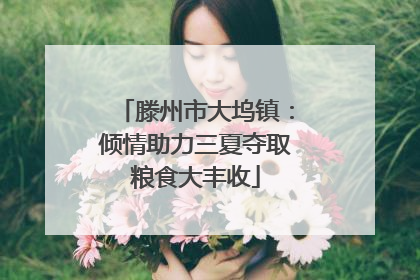 滕州市大坞镇：倾情助力三夏夺取粮食大丰收