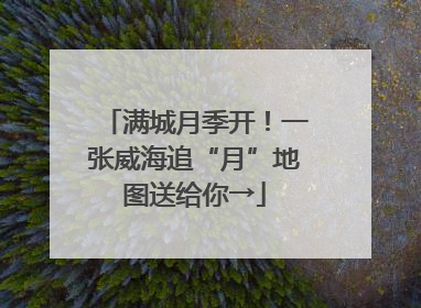 满城月季开！一张威海追“月”地图送给你→