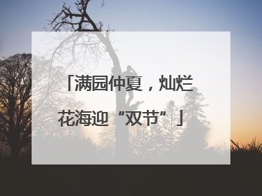 满园仲夏，灿烂花海迎“双节”