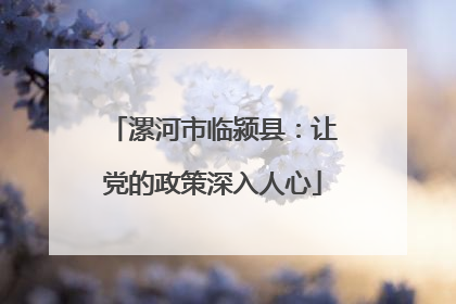 漯河市临颍县：让党的政策深入人心