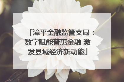 漳平金融监管支局：数字赋能普惠金融 激发县域经济新动能