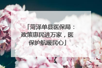 菏泽单县医保局：政策惠民进万家，医保护航暖民心