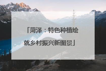 菏泽：特色种植绘就乡村振兴新图景