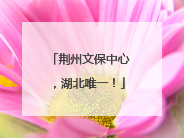 荆州文保中心，湖北唯一！