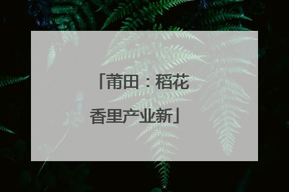 莆田：稻花香里产业新