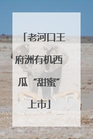 老河口王府洲有机西瓜“甜蜜”上市