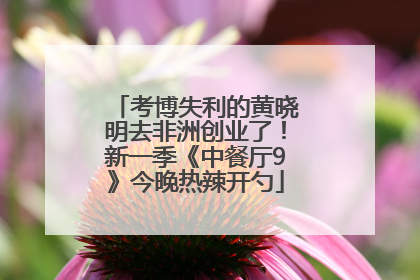 考博失利的黄晓明去非洲创业了！新一季《中餐厅9》今晚热辣开勺