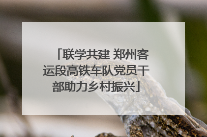 联学共建 郑州客运段高铁车队党员干部助力乡村振兴