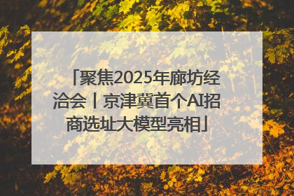 聚焦2025年廊坊经洽会丨京津冀首个AI招商选址大模型亮相