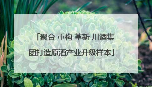 聚合 重构 革新 川酒集团打造原酒产业升级样本
