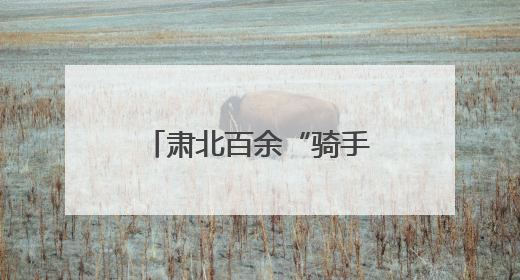 肃北百余“骑手”化身基层治理“移动探头”