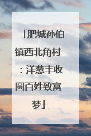 肥城孙伯镇西北角村：洋葱丰收圆百姓致富梦