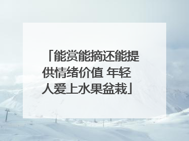 能赏能摘还能提供情绪价值 年轻人爱上水果盆栽