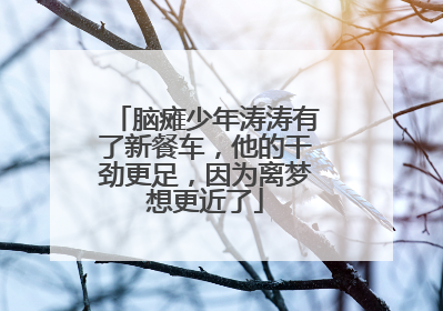 脑瘫少年涛涛有了新餐车，他的干劲更足，因为离梦想更近了