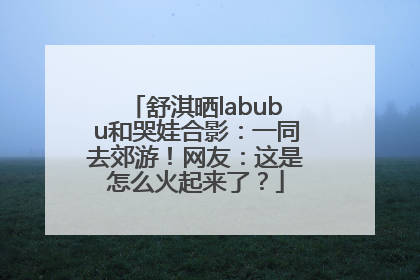 舒淇晒labubu和哭娃合影：一同去郊游！网友：这是怎么火起来了？