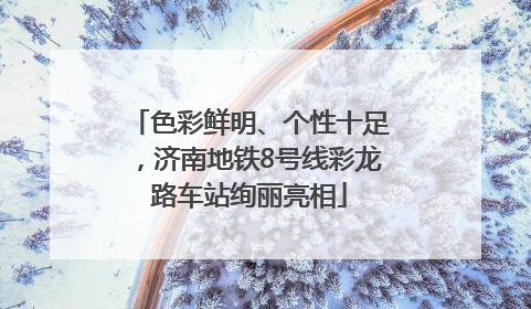 色彩鲜明、个性十足，济南地铁8号线彩龙路车站绚丽亮相