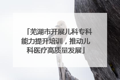 芜湖市开展儿科专科能力提升培训，推动儿科医疗高质量发展