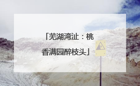 芜湖湾沚：桃香满园醉枝头