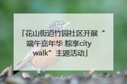 花山街道竹园社区开展“端午嘉年华 粽享city walk”主题活动