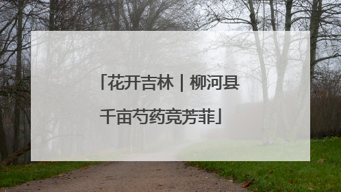 花开吉林｜柳河县千亩芍药竞芳菲