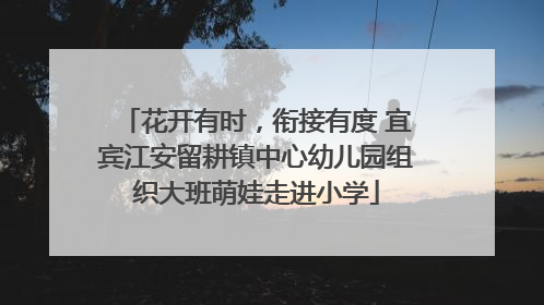 花开有时，衔接有度 宜宾江安留耕镇中心幼儿园组织大班萌娃走进小学