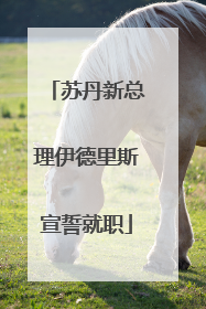 苏丹新总理伊德里斯宣誓就职